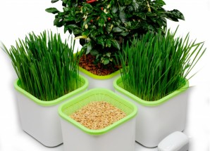 Гидропонная мини-система АэроСад (4-х модульная)