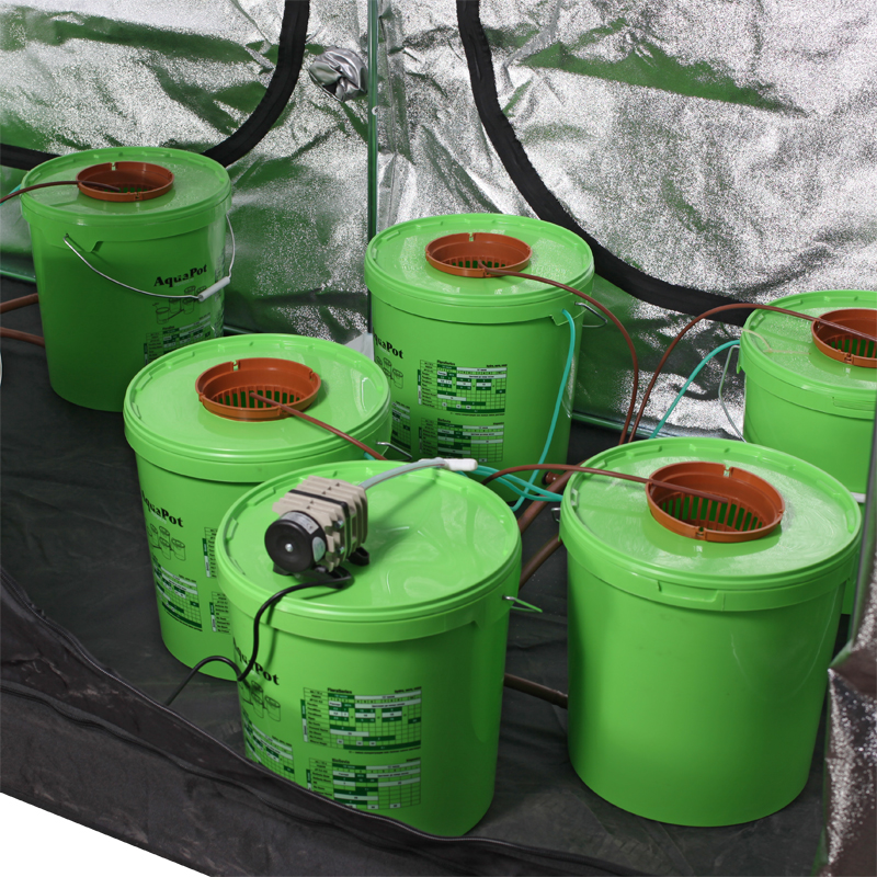 Гидропоника в гроубоксе